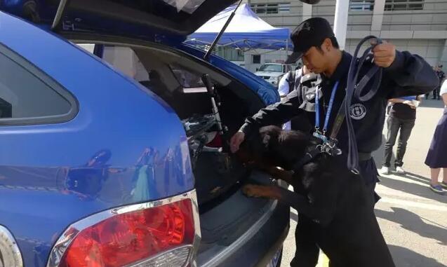 大型活動(dòng)還有警犬檢查